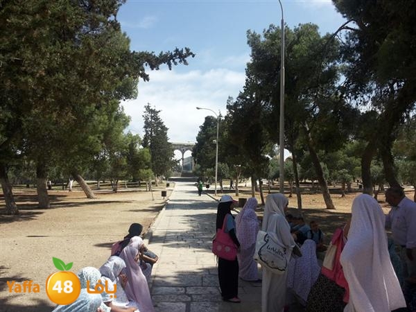 rashidiyasy 0531 (21).jpg